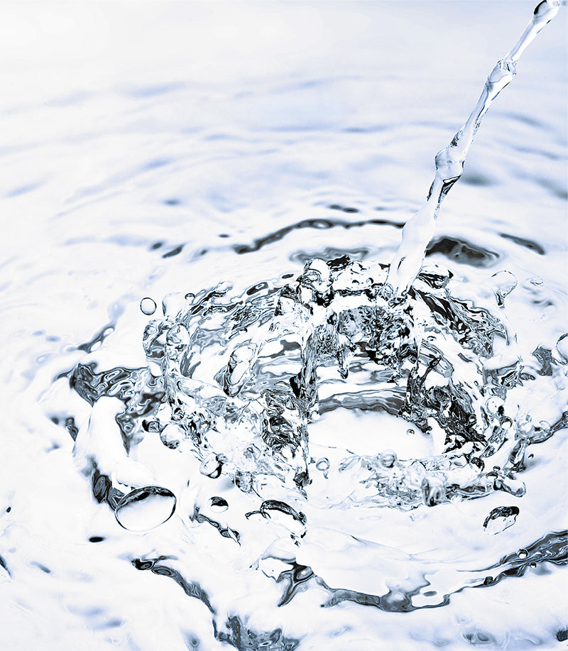 BULKHOMME THE REPAIR LOTION